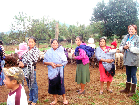 Vecinos de La Tinaja recibieron borregos para cría