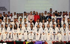 Entrenadores de Organización Purépecha de Taekwondo se capacitan