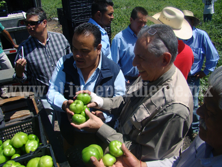 Renuevan equipos de bombeo para hacer eficiente el riego agrícola en Ecuandureo