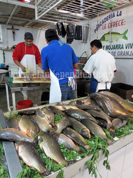 Jurisdicción Sanitaria continúa muestreo aleatorio en pescados y mariscos