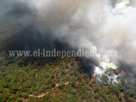 Van más de 50 hectáreas siniestradas, previo a temporada de incendios