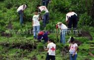 Programa de reforestación de Los Reyes cumplió 3 domingos