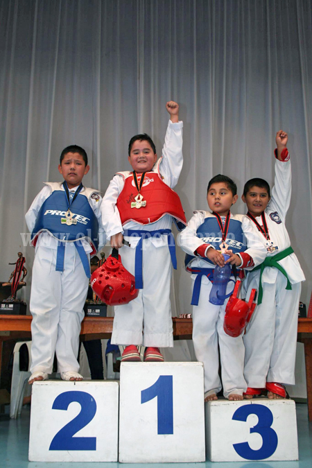 Alrededor de 500 taekwondoínes participaron en XV Edición de la Copa Purépecha de TKD Zamora 2014