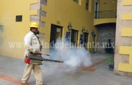Temporada invernal no garantiza erradicación de dengue 