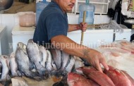 Disminuyó 80 por ciento venta de pescados y mariscos tras vacaciones