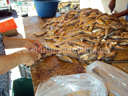 Pese a “mala fama” se incrementa venta de pescado