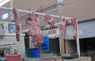 Cae precio de carne de cerdo en pie ante escasa demanda