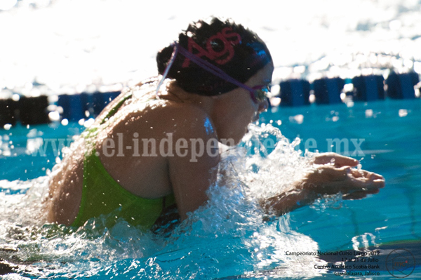 La nadadora Laura Sofía Arroyo Cuara, recibió reconocimiento por parte de Aquaviva