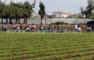Procuraduría Agraria busca acerca a los jóvenes a ejidos y comunidades agrarias