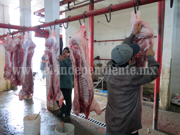 Incrementó matanza de cerdos en Rastro Municipal