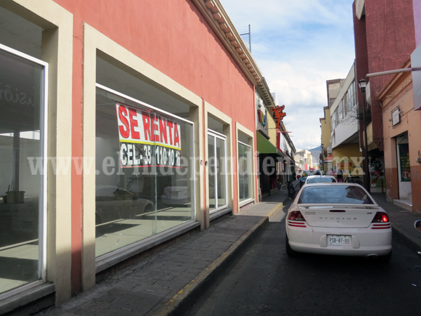 Cerró año 2015 con 15 por ciento menos de negocios en Zamora