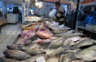 Escasea la oferta de pescado ante las bajas temperaturas