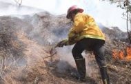 Atiende PC incendio forestal en Uruapan