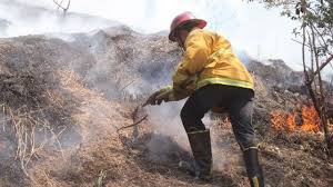 Atiende PC incendio forestal en Uruapan