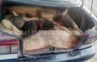 Encuentran seis cadáveres desmembrados dentro de un taxi, en Venustiano Carranza