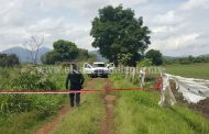 Encuentran cadáver putrefacto en “Los Espinos” de Zamora
