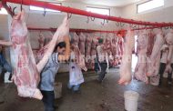 Aumentó sacrificio de cerdos en Rastro Municipal