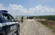 Motociclistas asesinan a balazos a un hombre en La Rinconada de Zamora
