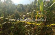 Campesinos encuentran cadáver putrefacto en parcelas de Zamora