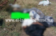 Abandonan 4 cuerpos descuartizados en Tangancícuaro