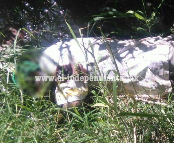 Encuentran cadáver baleado dentro de canal de riego en Zamora