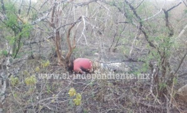 Cadáver putrefacto es encontrado cerca del Guamúchil de Zamora