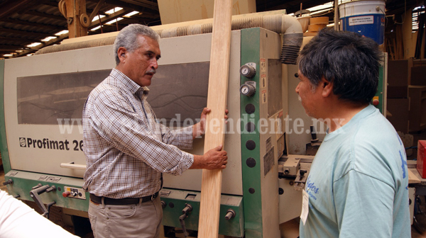 Cofom, por elevar la producción maderable de Michoacán