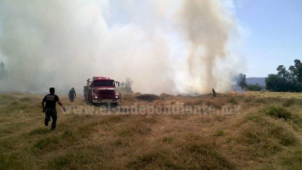 Bomberos evitan que incendio calcinara criadero de cerdos en Zamora