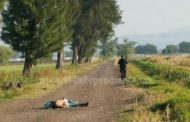 Campesinos encuentran a un hombre asesinado en brecha de Zamora