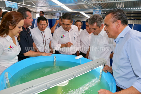 Inaugura Gobernador primer laboratorio de producción de pez blanco en Michoacán