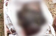 Sexagenario es hallado sin vida en una noria de Chilchota