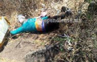 Abandonan cadáver baleado en lote baldío de Fraccionamiento sahuayense