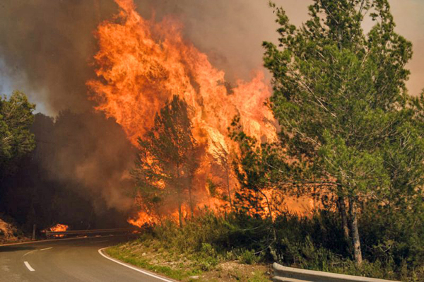 Mil hectáreas afectadas en la región  por incendios forestales