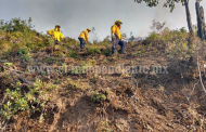 Michoacán, de los estados más eficientes en el combate a incendios forestales