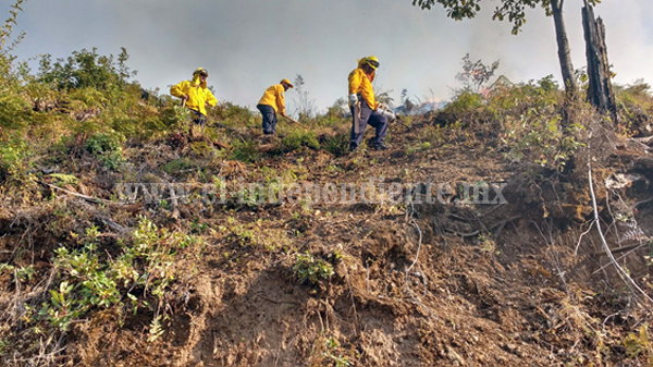 Michoacán, de los estados más eficientes en el combate a incendios forestales