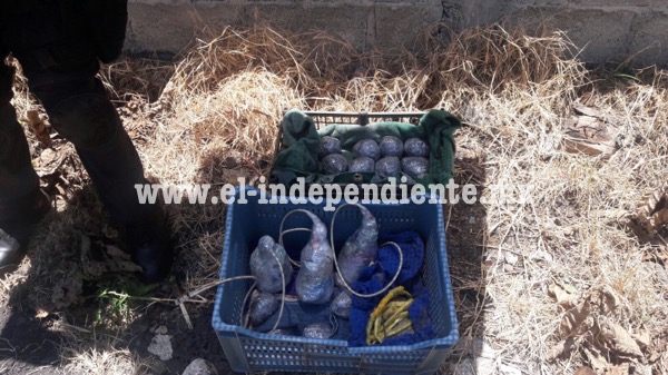 Asegura Policía Michoacán artefactos explosivos caseros en Zamora