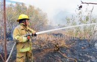 Bajo control los incendios forestales en Jacona