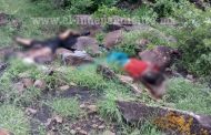 Encuentra cadáveres en estado de descomposición en Jacona