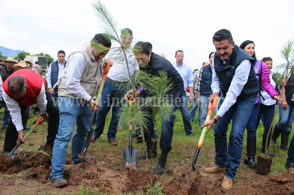 Inicia Campaña Estatal de Reforestación; plantar 21 millones de arbolitos, la meta