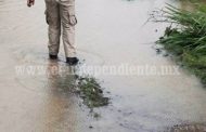Sigue en aumento la cantidad de hectáreas afectadas por lluvia en Zamora