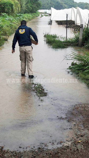 Sigue en aumento la cantidad de hectáreas afectadas por lluvia en Zamora