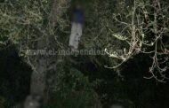 Muchacho es hallado sin vida colgado de un árbol, en Jacona