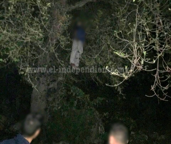 Muchacho es hallado sin vida colgado de un árbol, en Jacona