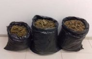 Asegura Policía Michoacán 17 kilos de marihuana en Zamora