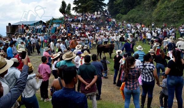 El toro de once, una tradición una tradición muy michoacana