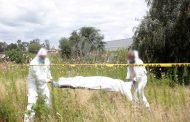 Hallan a 4 muertos a balazos en el municipio de Tlazazalca