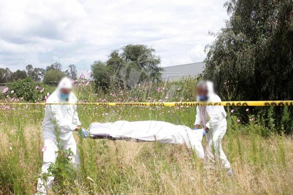 Hallan a 4 muertos a balazos en el municipio de Tlazazalca