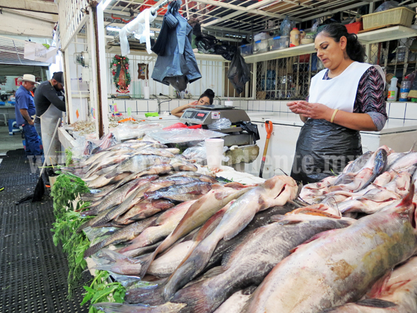 Jurisdicción sanitaria verificará establecimientos de pescado y marisco