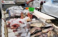 Sector salud descarta bacterias  en pescados y mariscos  de la región