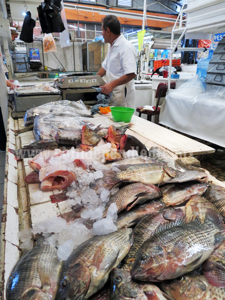 Sector salud descarta bacterias  en pescados y mariscos  de la región
